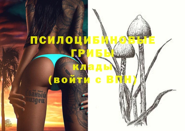 гидропоника Абдулино