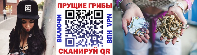 Галлюциногенные грибы MAGIC MUSHROOMS  блэк спрут ТОР  Весьегонск  сколько стоит 